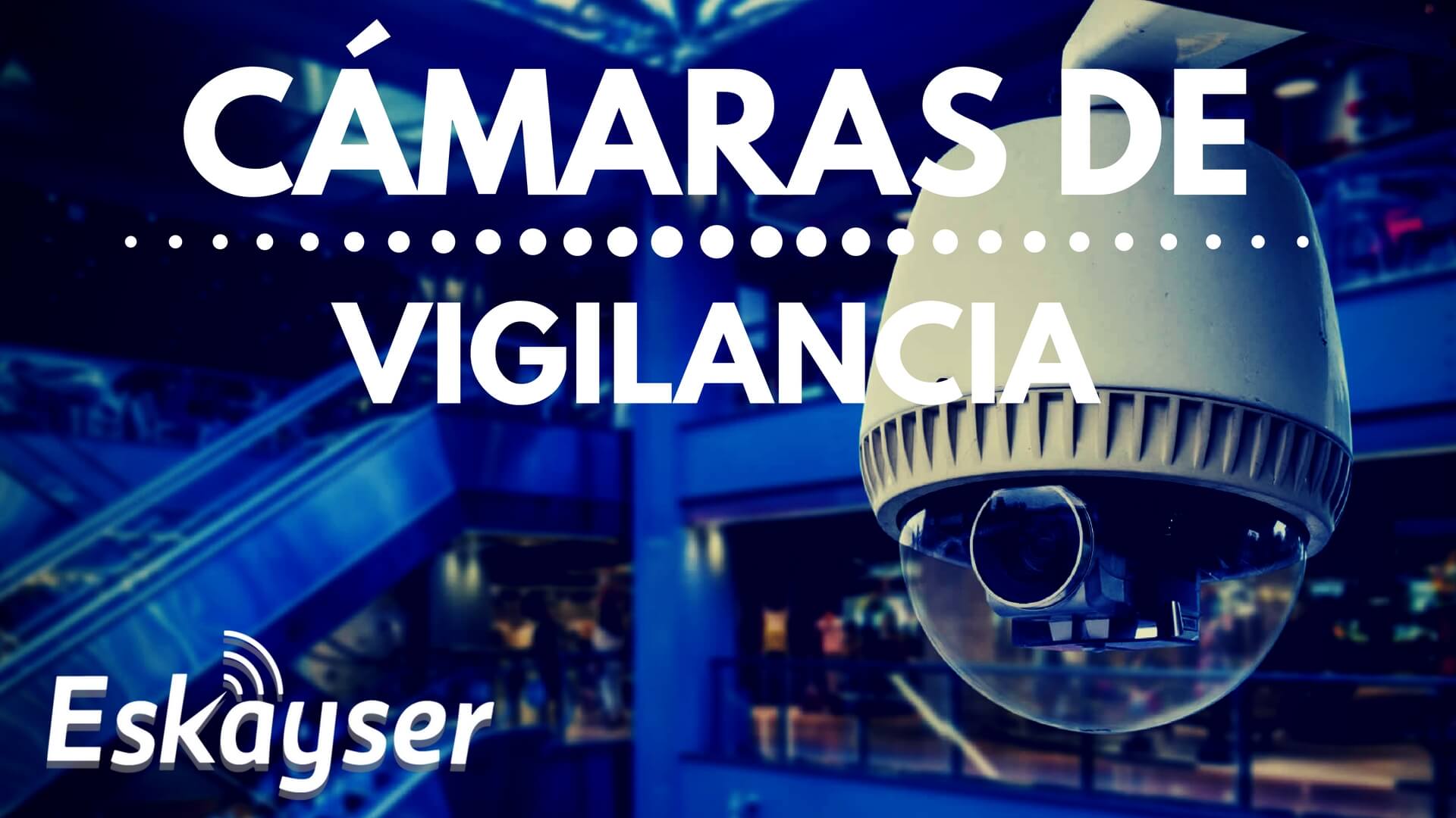 FORMATO 03