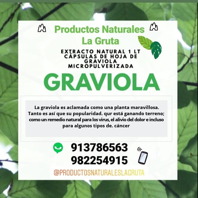 Formato 02